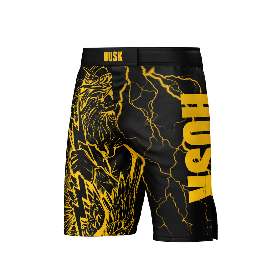 Pro Performance MMA Fight Shorts – Flexible Fit